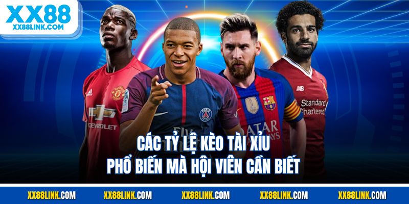 Các tỷ lệ kèo tài xỉu phổ biến mà hội viên cần biết