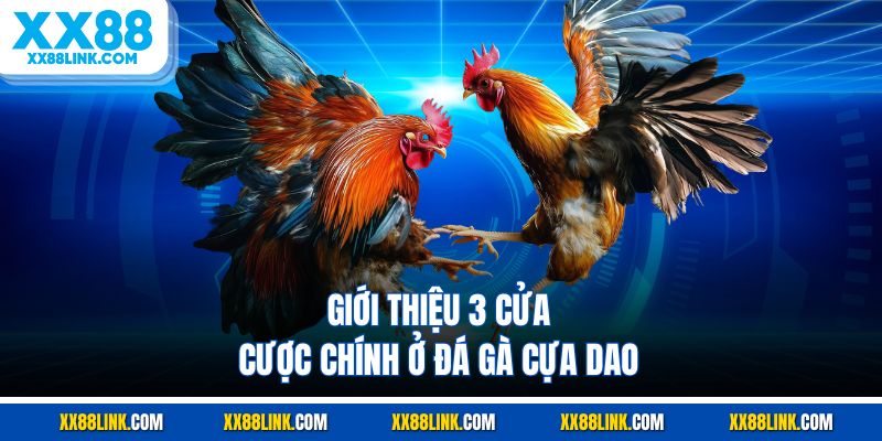 Giới thiệu 3 cửa cược chính ở đá gà cựa dao