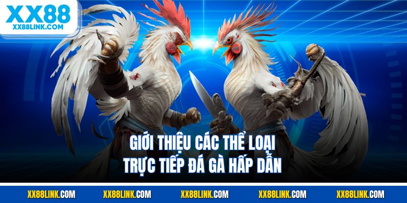 Giới thiệu các thể loại trực tiếp đá gà hấp dẫn