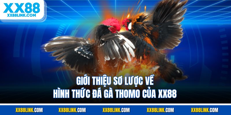 Giới thiệu sơ lược về hình thức đá gà Thomo của XX88
