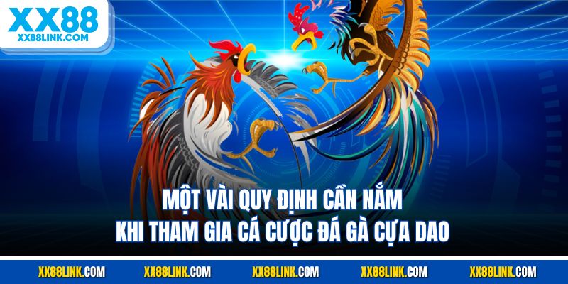 Một vài quy định cần nắm khi tham gia cá cược đá gà cựa dao