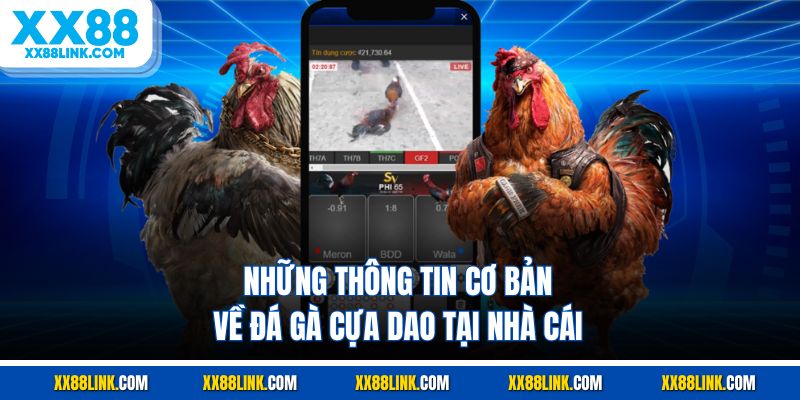 Những thông tin cơ bản về đá gà cựa dao tại nhà cái