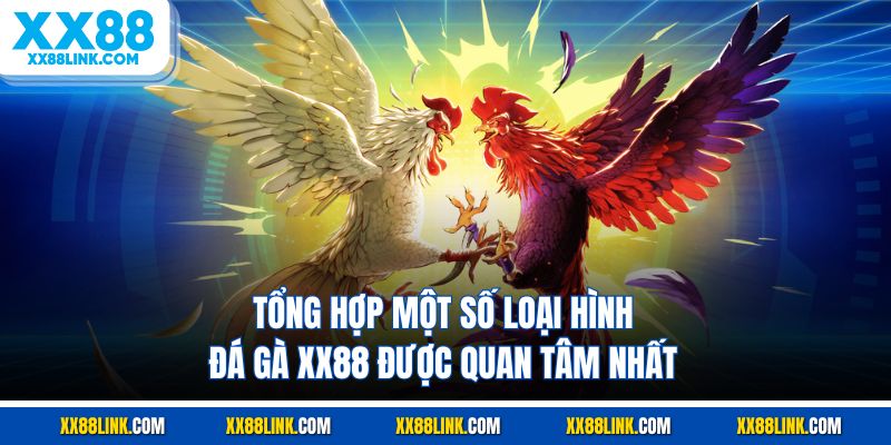 Tổng hợp một số loại hình đá gà XX88 được quan tâm nhất