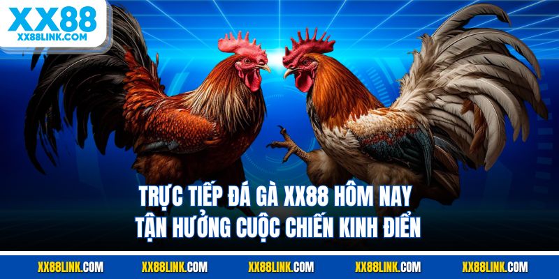Trực tiếp đá gà XX88 hôm nay tận hưởng cuộc chiến kinh điển